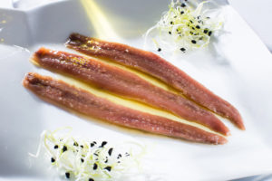 anchoa del cantabrico